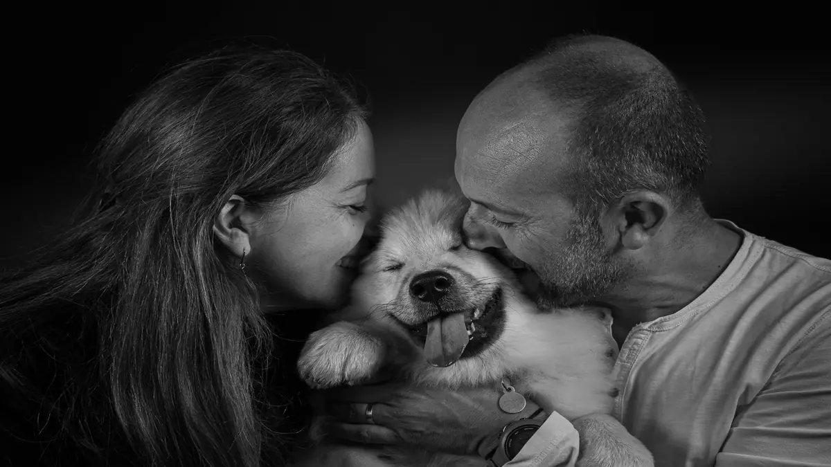 Como Desengasgar Cachorro