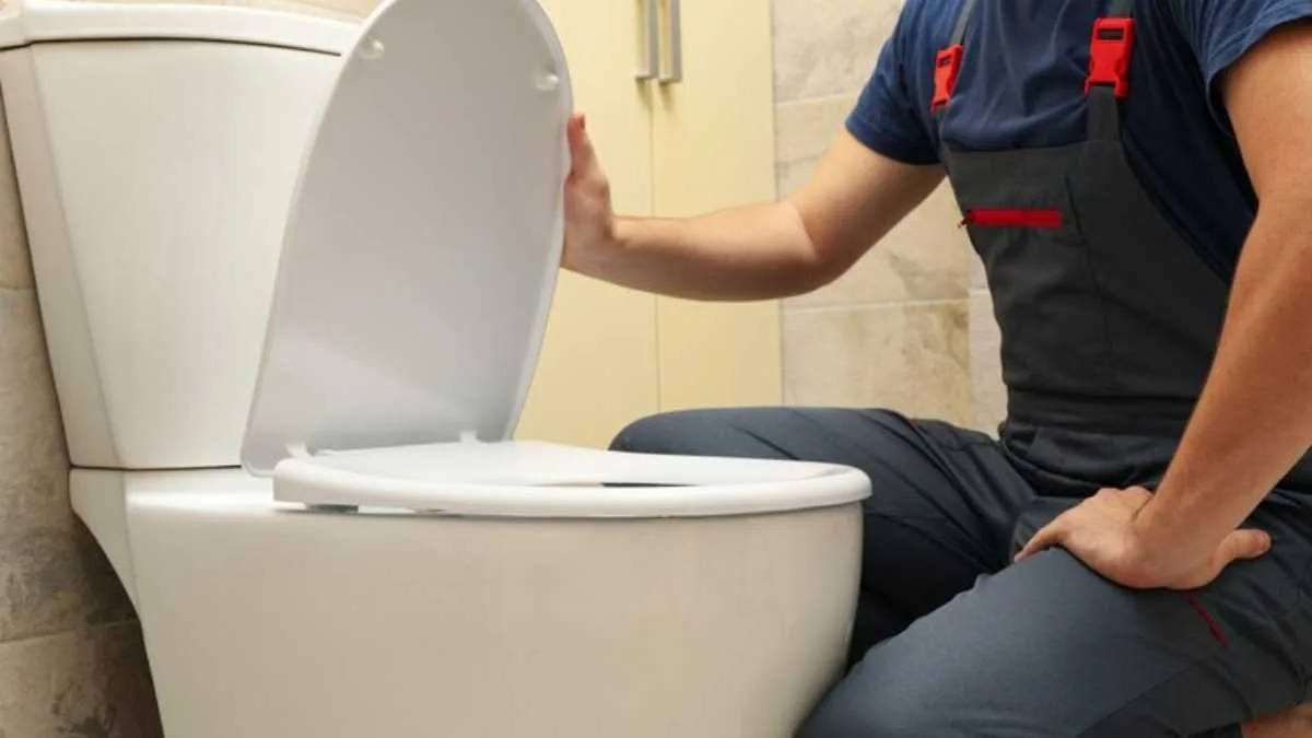 Qual o preço de uma desentupidora de vaso sanitário SP: Fatores que Influenciam o Custo