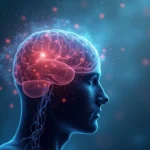 Brazil Antioxidant Wakes Up Brain Like Exercise