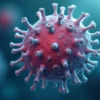 Brazil Gut Bacteria Tied to 29% Greater Muscle Strength